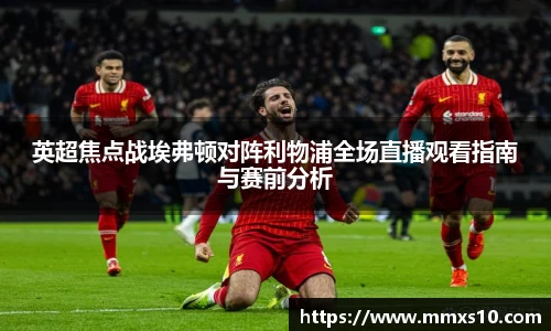 熊猫体育